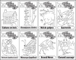 Coloriage T’iga