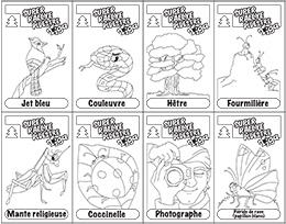 Coloriage T’iga